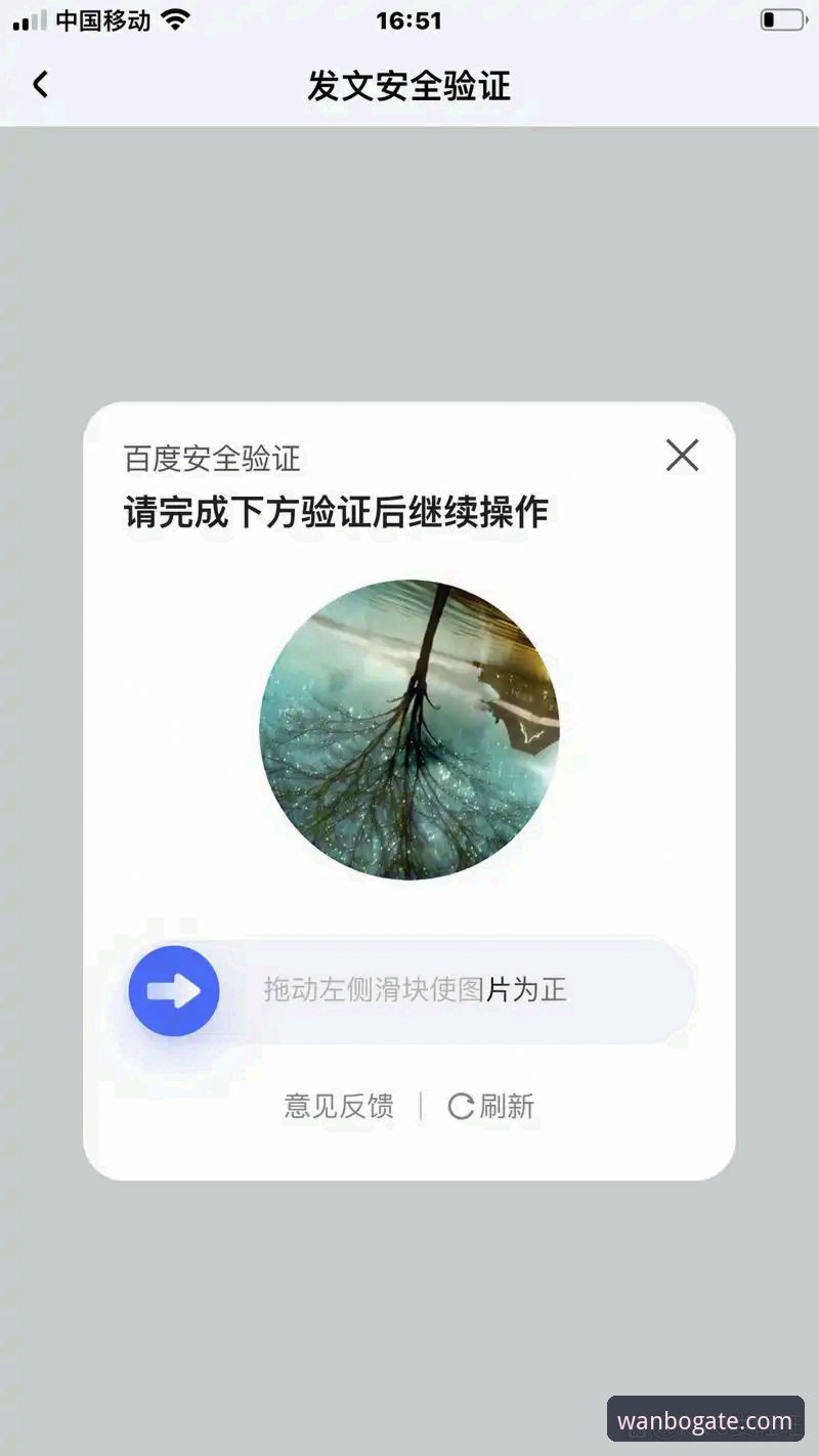 揭秘万博安全入口：用户亲身验证的3分钟快速登录法